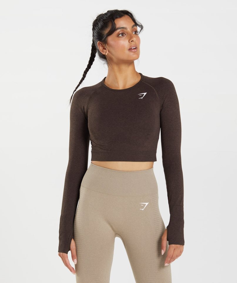 Przycięte Topy Gymshark Vital Seamless 2.0 Damskie Czekolada | PL 348DGR